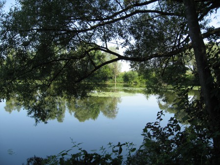 "Blattlteich"