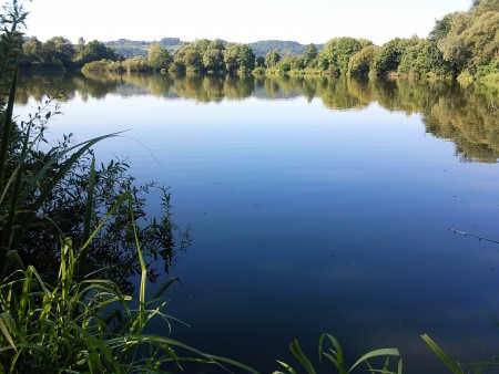 der "große" Teich im Sommer