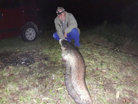 Peter mit Wels 171 cm, September 2019