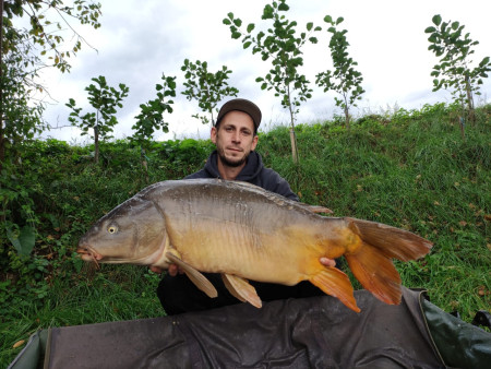 Manuel mit exotischen Spiegler