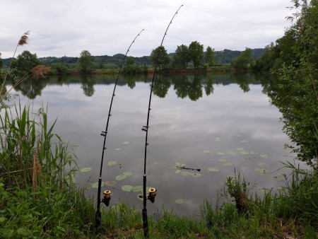 Auf Wels am Blattlteich