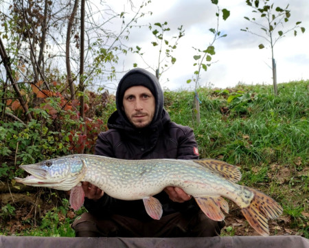 Manuel mit 70+ Hecht