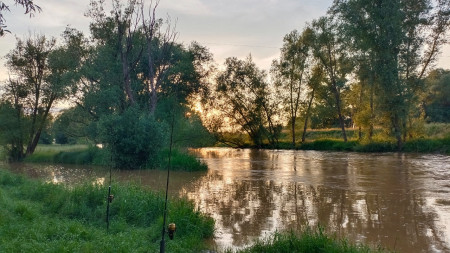 auf Wels bei Hochwasser