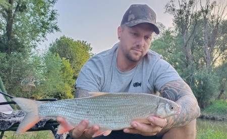 Ein schöner Nasenfisch vom Fluss