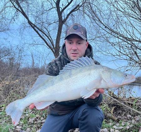 Hannes mit schönen 70+ Zander